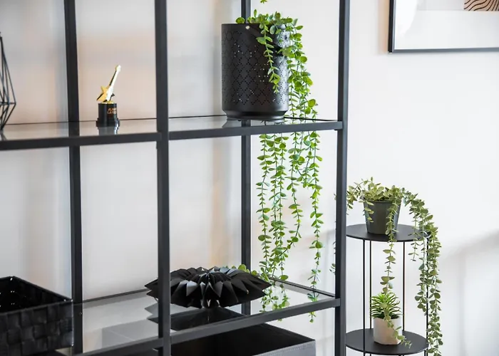 公寓 Location - Walk To The Beach, Shops & Dining 美洲海滩